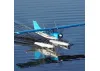 FMS 1500mm Maule - PNP With Floats