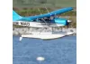 FMS 1500mm Maule - PNP With Floats