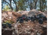 FMS FCX24 Lemur - RTR