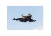 FMS Rafale 80mm EDF - PNP (No Reflex)