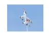 FMS F-16 Blue Thunder 64mm EDF - PNP