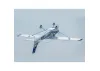 FMS Cessna 182 1500mm - PNP Blue