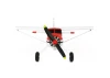 FMS Beaver 800mm RTF with Reflex V3 + GPS