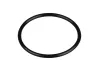 Force L001 Rear Crankcase Cover O-Ring