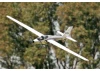 FMS Fox Glider 2320mm - ARTF