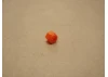 Plastic Hex Drive For Fastrax Torque Start
