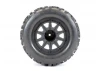FTX Ramraider Glued Tyre + Wheel Set (2Pcs)