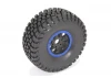 FTX DR8 Desert Racer