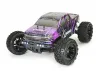 FTX Carnage Brushless 2.0