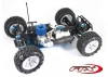 FTX Carnage NT