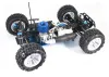 FTX Carnage NT
