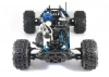 FTX Carnage NT