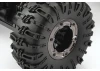 FTX Ravine M.O.A. Rock Buggy Crawler