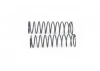 FTX Vantage/Carnage Front Shock Spring (2)