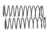 FTX Vantage/Carnage Front Shock Spring (2)