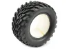 FTX Bugsta Tyres (2) W/Foam