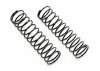 FTX Kanyon Springs 2Pcs