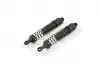 Fastrax FTX Fury Shock Absorbers (2)