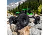 1:10 Chisel II Tire G8 Front/Rear 2.2 Crawler Tire (2)