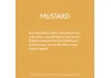 Guild Lane Bleo Gel Paint, Mustard (250ml)