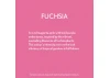 Guild Lane Bleo Gel Paint, Fuchsia (100ml)