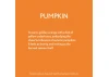 Guild Lane Bleo Gel Paint, Pumpkin (250ml)