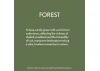 Guild Lane Bleo Gel Paint, Forest (250ml)