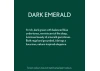 Guild Lane Bleo Gel Paint, Dark Emerald (250ml)