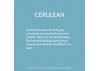 Guild Lane Bleo Gel Paint, Cerulean (250ml)