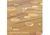 Guild Lane Acrylic Gloss Top Coat, Clear (60ml Jar)