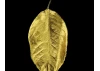 Guild Materials GILD Gilding Enamel Paint, Gold (60ml Jar)