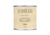 Guild Lane Jubilee Maker Paint (CC-22), Transvaal Grey (250ml)
