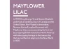 Guild Lane Jubilee Maker Paint, Mayflower Lilac (60ml)