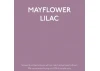 Guild Lane Jubilee Maker Paint (CC-22), Mayflower Lilac (250ml)