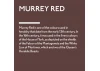 Guild Lane Jubilee Maker Paint, Murrey Red (60ml)
