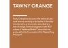 Guild Lane Jubilee Maker Paint, Tawny Orange (60ml)