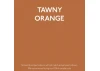 Guild Lane Jubilee Maker Paint (CC-22), Tawny Orange (250ml)