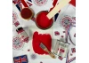 Guild Lane Jubilee Maker Paint (CC-22), Coronation Crimson (60ml)