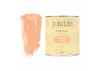 Guild Lane Jubilee Maker Paint (CC-22), Salmon Pink (500ml)