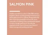 Guild Lane Jubilee Maker Paint (CC-22), Salmon Pink (60ml)