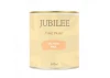 Guild Lane Jubilee Maker Paint (CC-22), Salmon Pink (500ml)