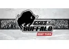 GMade GS02F Buffalo TS RTR