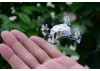 Hubsan Q4 Nano Spare Bodyshell Assembly