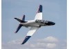 Hangar 9 Hawk/T-45 140-160N Turbine Jet ARF [COLLECTION SG14 1QN ONLY]