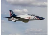 Hangar 9 Hawk/T-45 140-160N Turbine Jet ARF [COLLECTION SG14 1QN ONLY]