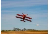 Hangar 9 Pitts S-2B 50-60cc ARF
