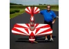 Hangar 9 Pitts S-2B 50-60cc ARF