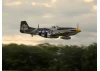 Hangar 9 P-51D Mustang 20cc ARF