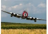 Hangar 9 P-47D Thunderbolt 20cc