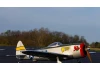 Hangar 9 P-47 Thunderbolt PNP - 58.4 Inch